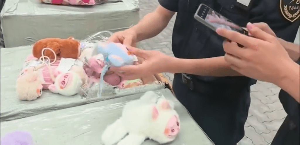 寧波海關正在取證。 寧波海關正在取證。