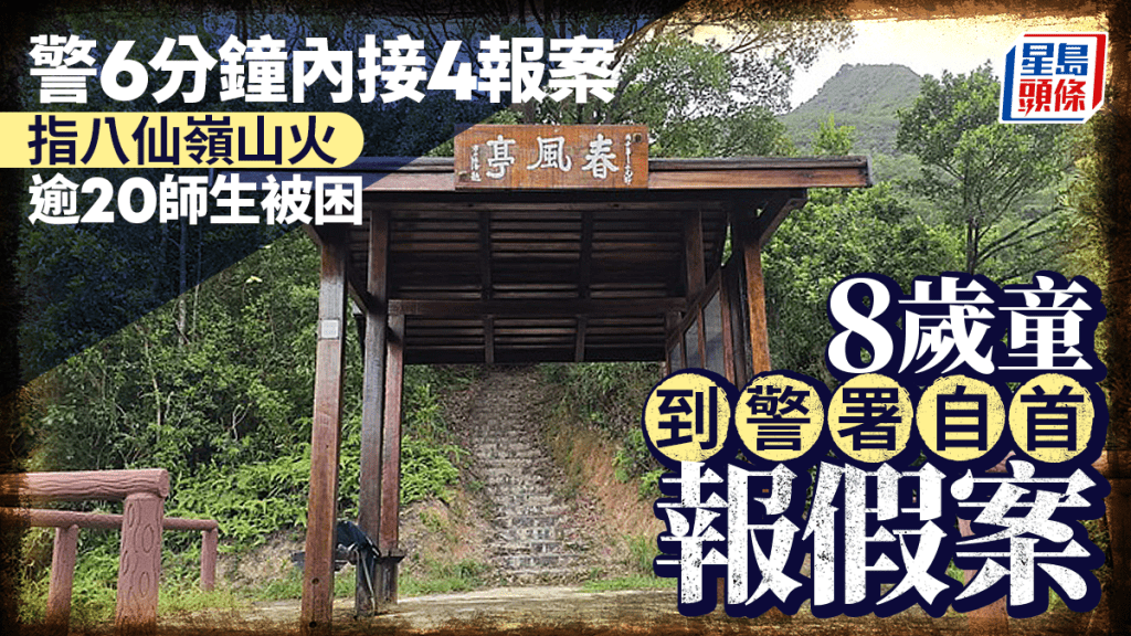八仙嶺山火虛報 8歲男童自首 獲警發口頭警告