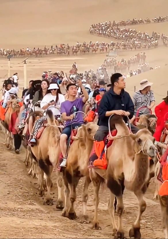 数百计的游客骑著骆驼游览敦煌，令当地出现「塞骆驼」奇景。影片截图
