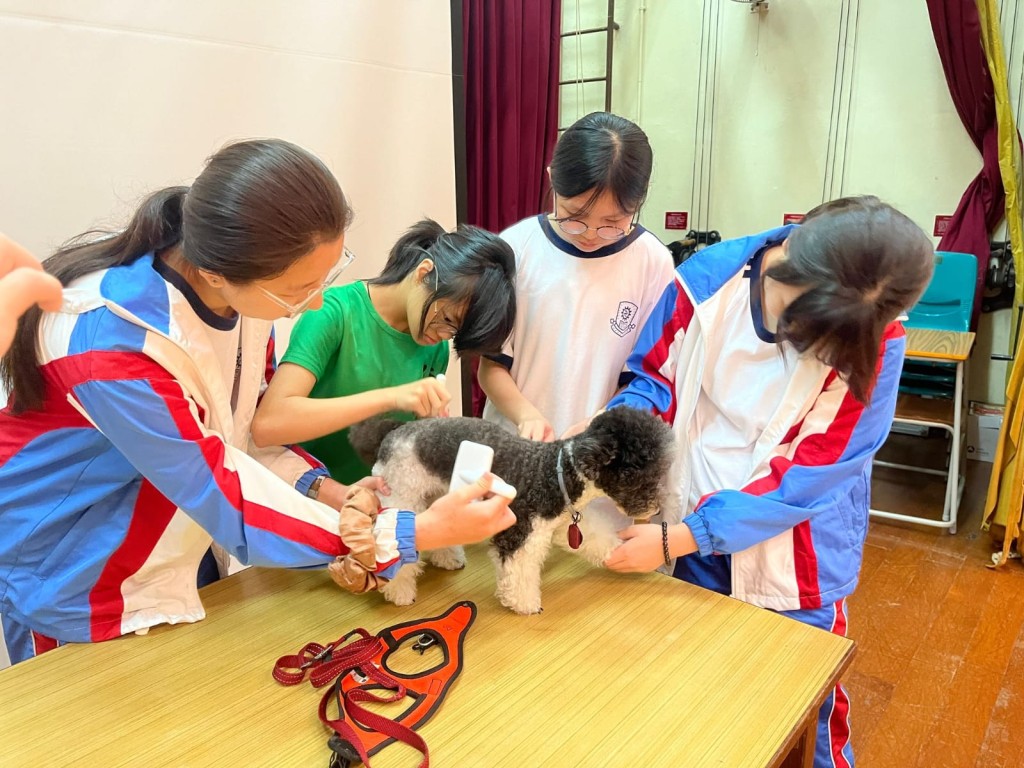 學生在「寵愛閣」學會的，不僅是知識，更是態度——對生命的尊重、對責任的承擔、對弱小的同情。