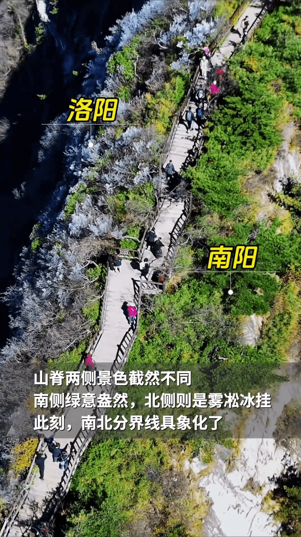 老君山「陰陽分界」再現。  老君山「陰陽分界」再現。