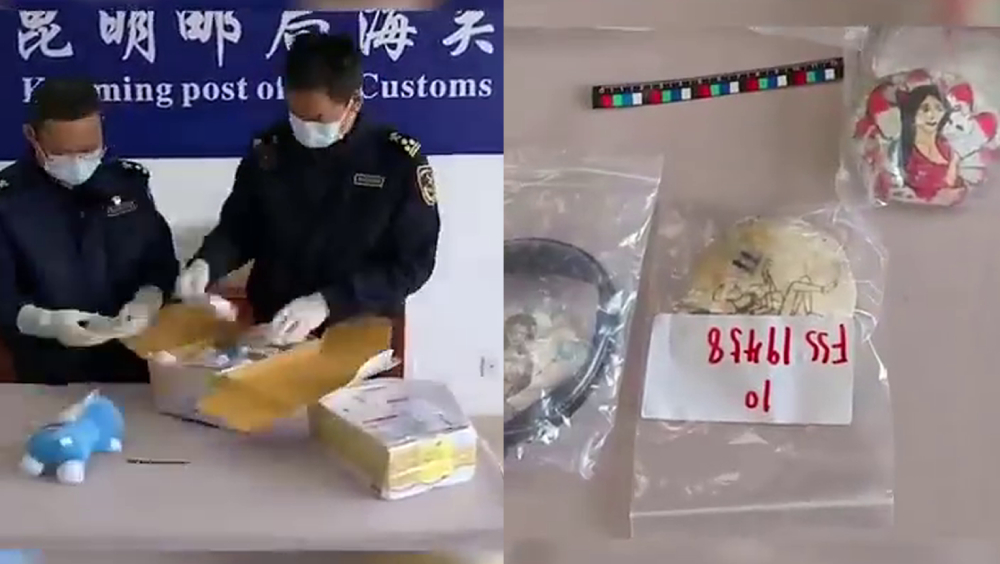 海關查獲12件報稱「玩具」、「護身符」的郵件,鑒定為人體組織成分製成。