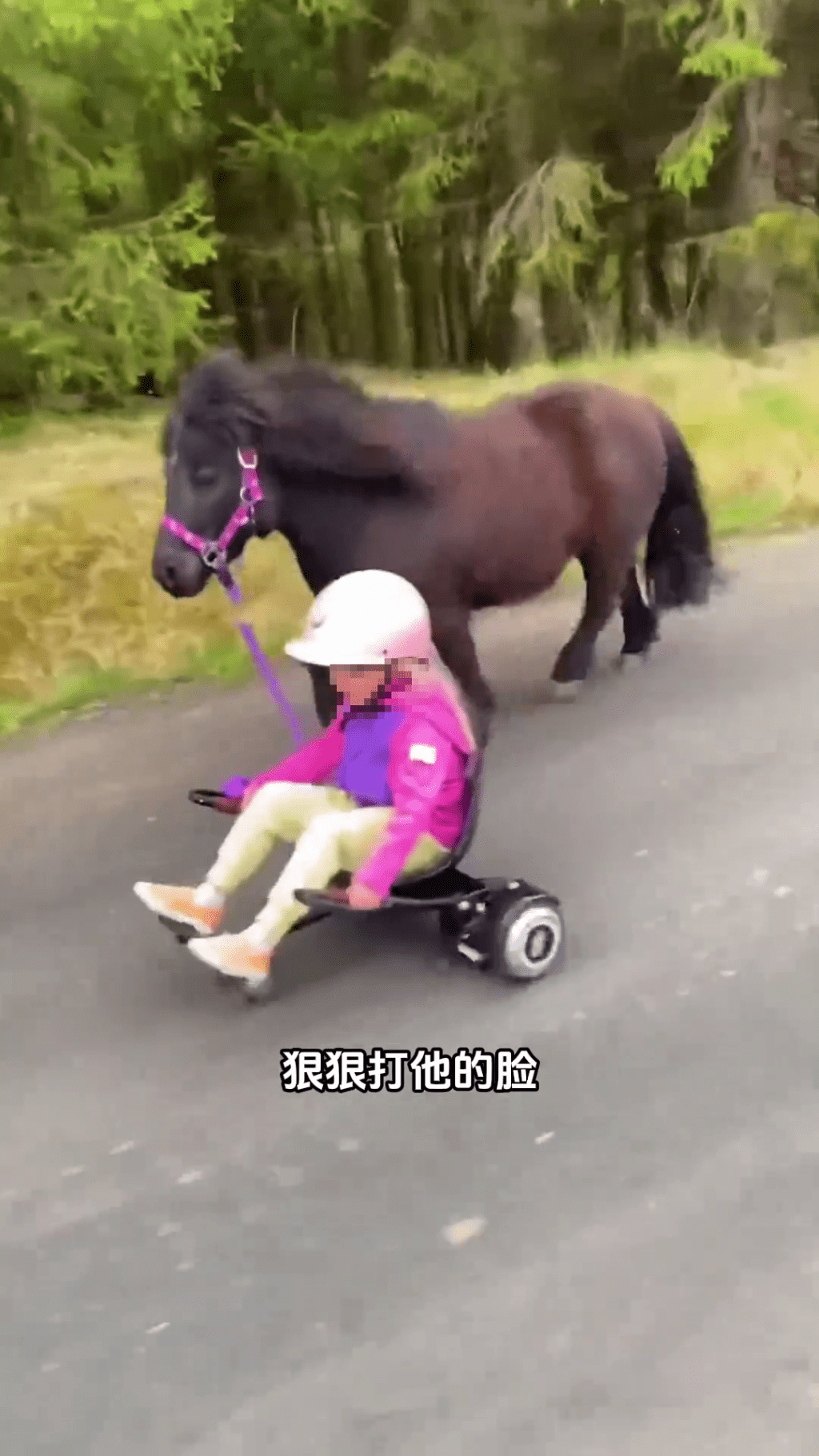 迷你馬在內地社交平台上爆紅。 迷你馬在內地社交平台上爆紅。