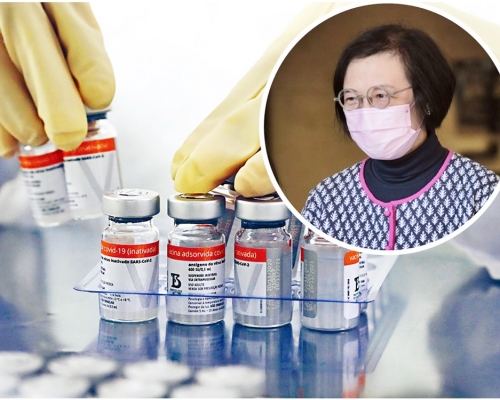 陳肇始(小圖)希望市民要對專家小組有信任。資料圖片
