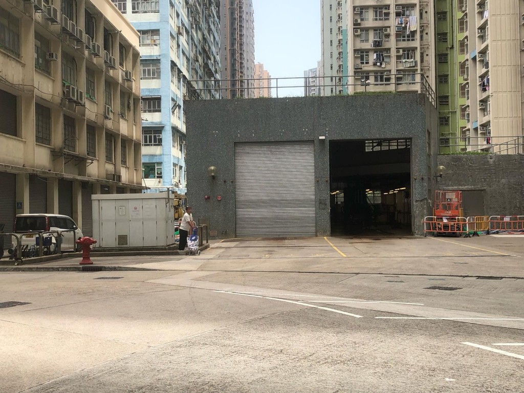 禁止餵飼野鴿法例生效後在元州邨拍攝。