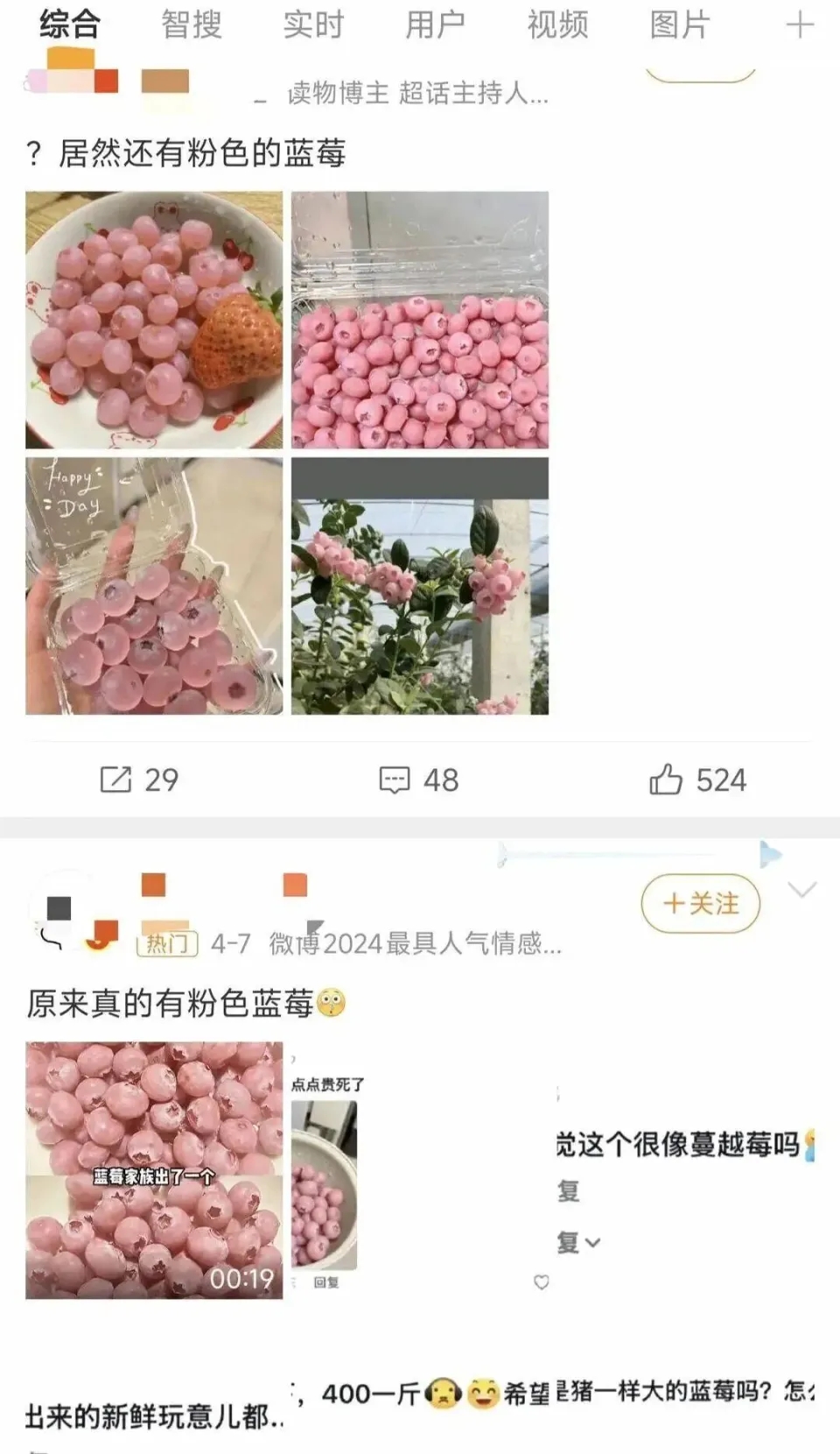 粉色蓝莓成网上热话。