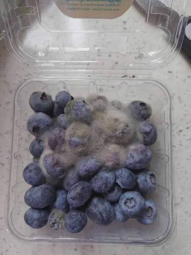 網圖