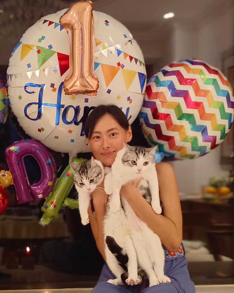 昨日貼出為貓貓慶祝生日的相片。