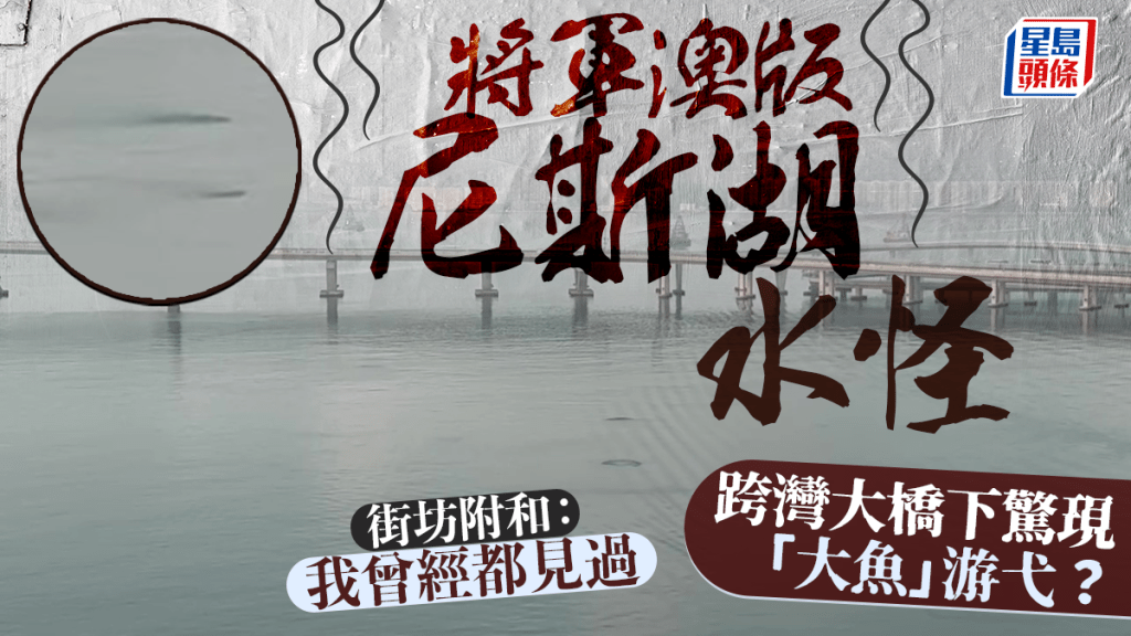 將軍澳版尼斯湖水怪 跨灣大橋下驚現「大魚」游弋？ 街坊附和：我曾經都見過｜Juicy叮