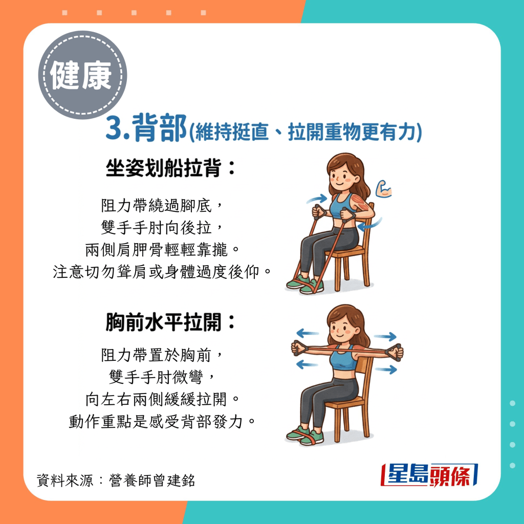 3.背部（維持挺直、拉開重物更有力）