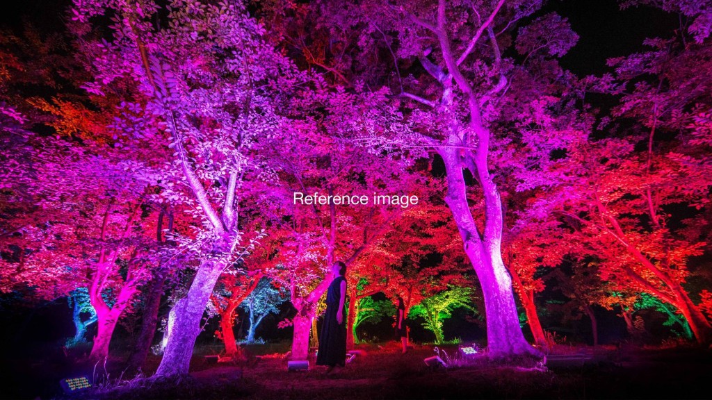 发光的艺术装置会随着观众互动而变换颜色和音效，同时与周围数十棵树木互相呼应。（图片来源：teamLab官方网站）