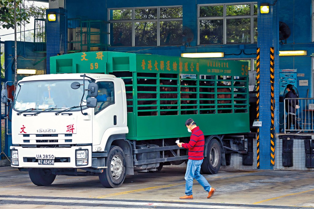 业界认为新安排非常好，可减低运费，并形容「恢复武功」。
