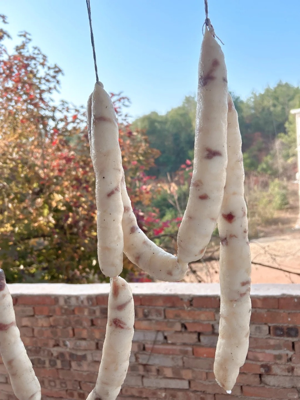 「九肥一瘦」邪惡臘腸在網上成熱話。小紅書@乾寶媽咪呀 「九肥一瘦」邪惡臘腸在網上成熱話。小紅書@乾寶媽咪呀