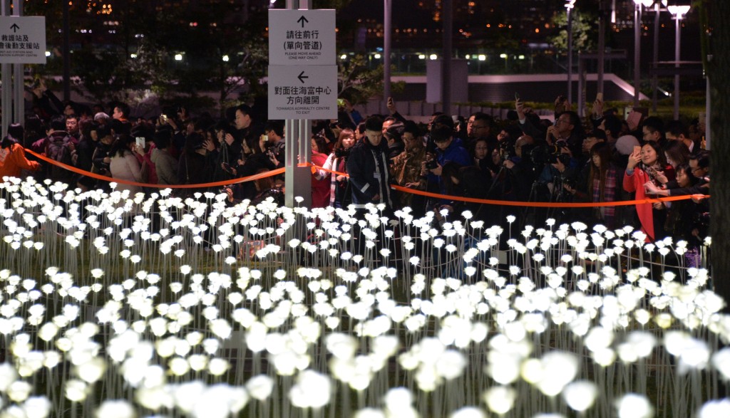 2016年Light Rose Garden 首先於韓國展出，其後作出世界巡迴展覽。資料圖片