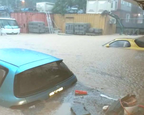昨日本港連場大雨，新界北部多處地區出現嚴重水浸，部分地區水深更及腰。