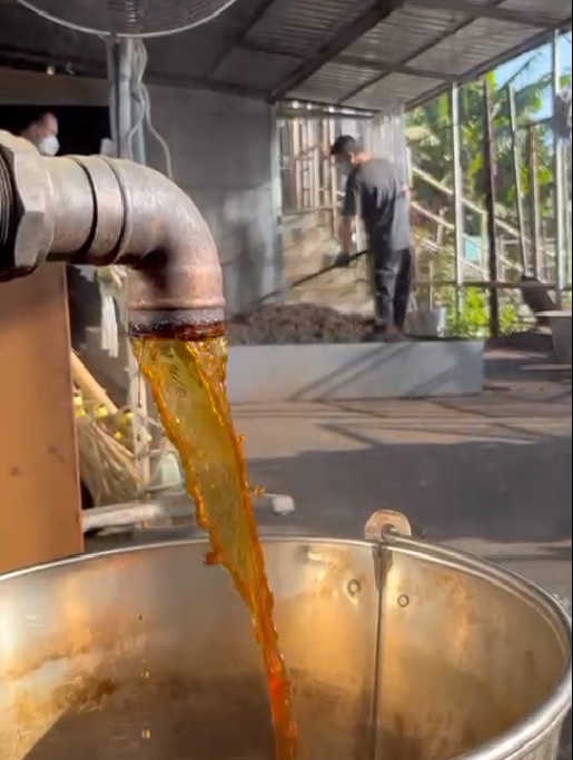 每天早上，工人在西貢工場將藥汁注入茶葉再曬乾，保留「九蒸九曬」傳統。