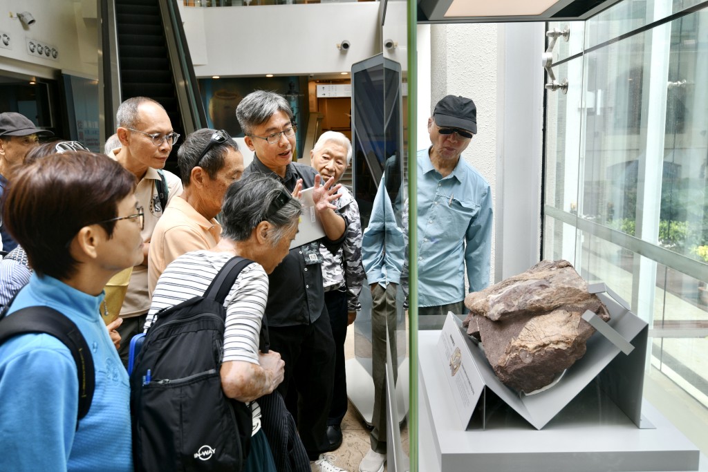 甯漢豪指自政府公布發現恐龍化石後,當局會先完成清理工作,才會將有關化石舉辦常設展覽。資料圖片 甯漢豪指自政府公布發現恐龍化石後,當局會先完成清理工作,才會將有關化石舉辦常設展覽。資料圖片