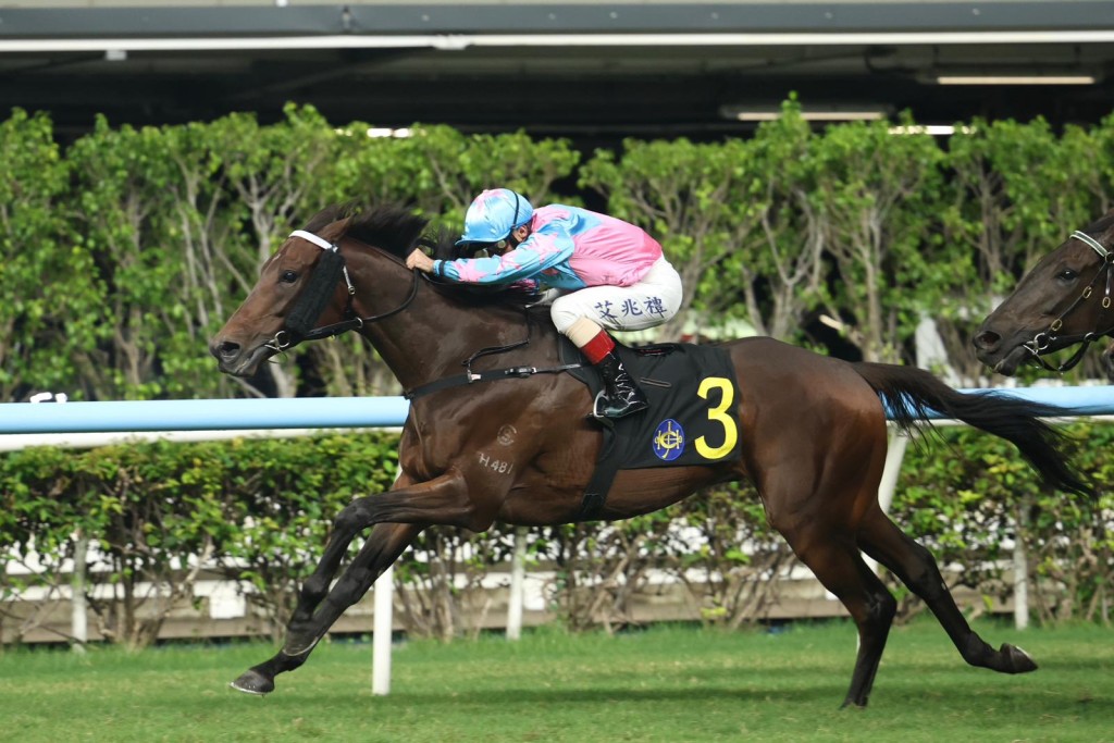 「勁好運」今場升班而戰,負磅輕飄飄,若然能克服外檔的阻力,或有力再跑入前列。 「勁好運」今場升班而戰,負磅輕飄飄,若然能克服外檔的阻力,或有力再跑入前列。