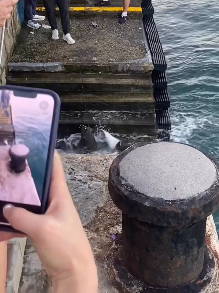 facebook截圖（資料來源：Ken Yu＠facebook筲箕灣西灣河關注組）