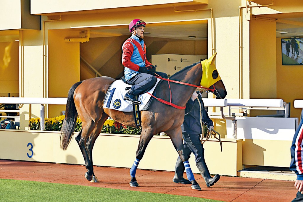 「南區旺」一切已準備就緒，今晚強配潘頓有力一擊即中 。