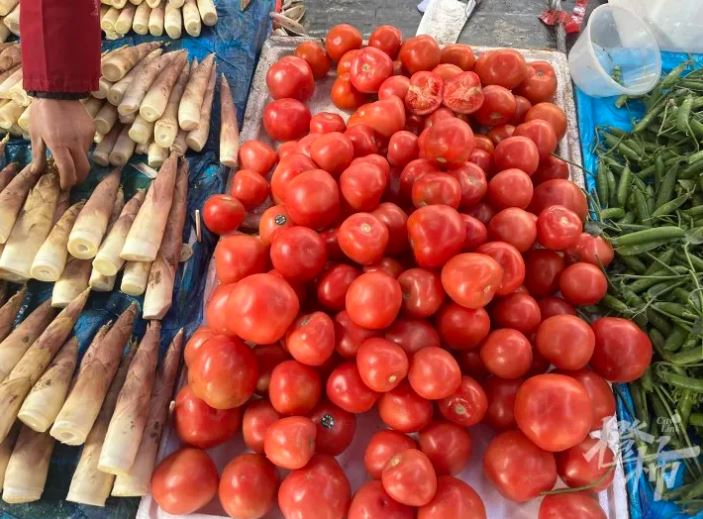 蕃茄價格不斷上漲。都市快報