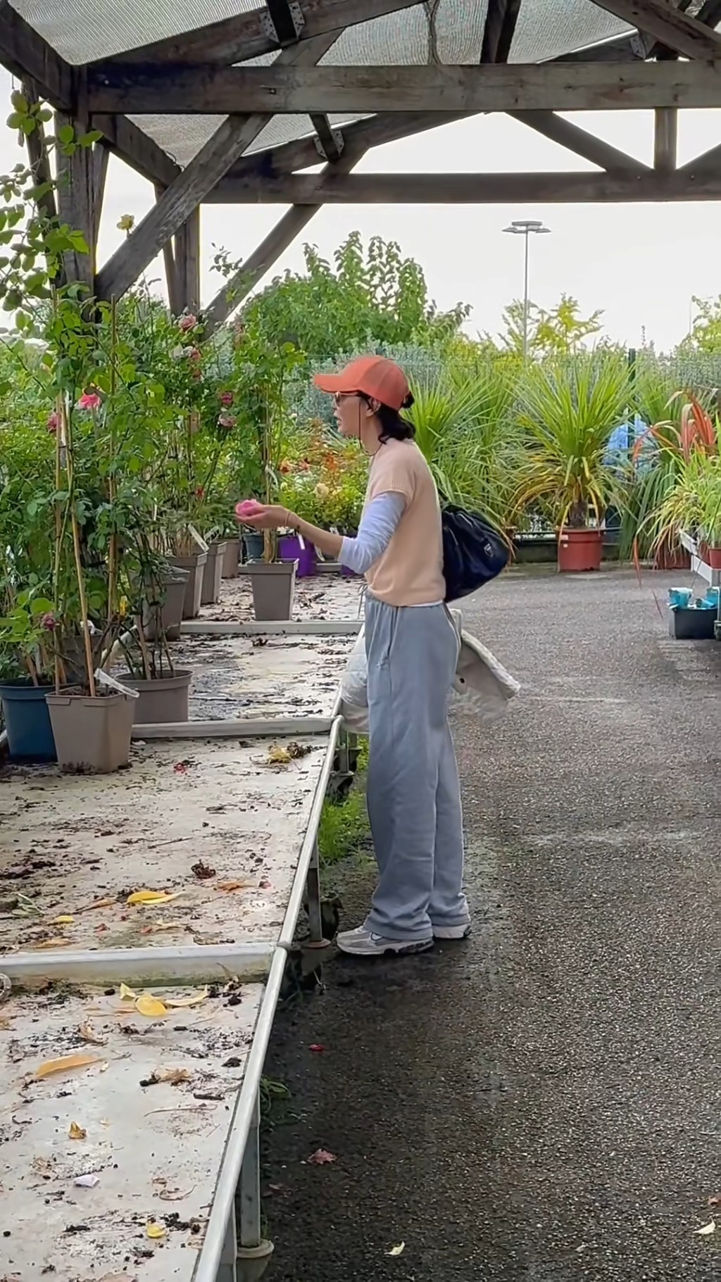 張曼玉表示有花園後,可以種好多東西。 張曼玉表示有花園後,可以種好多東西。