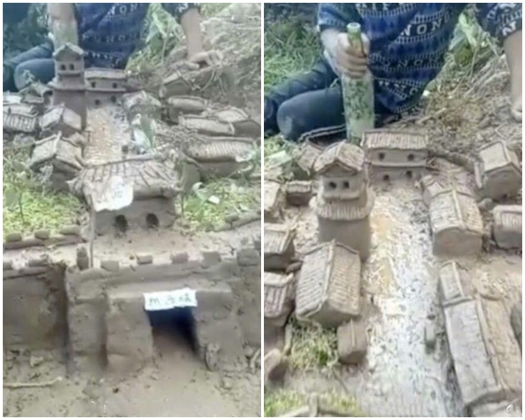 網圖