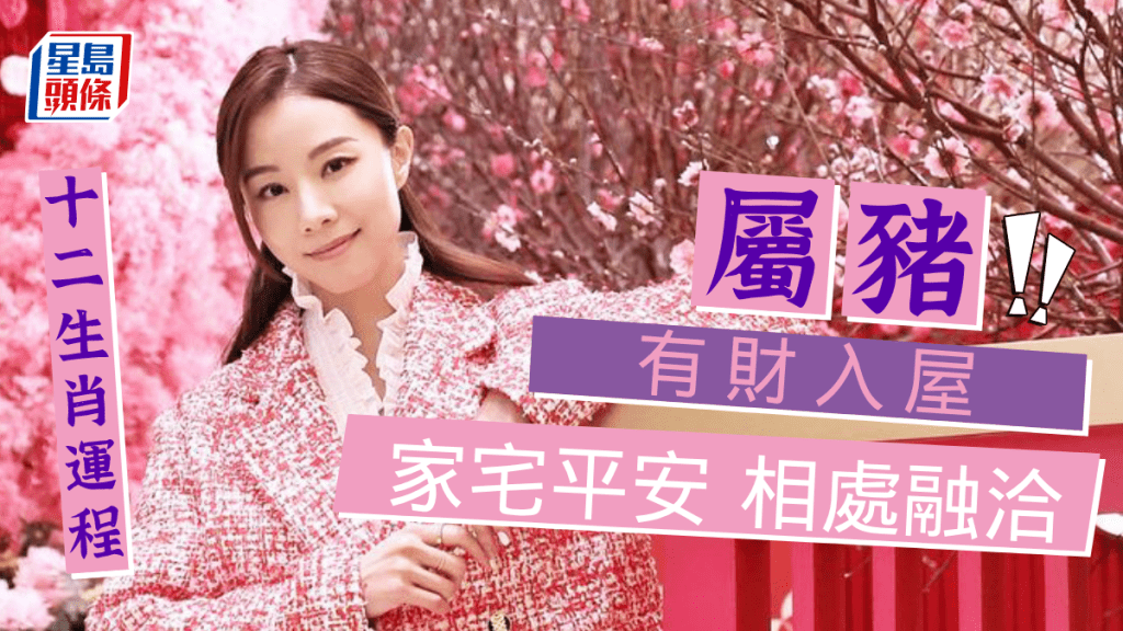 生肖運程｜屬豬有財入屋 家宅平安 相處十分融洽 從事個人投資者有望回順