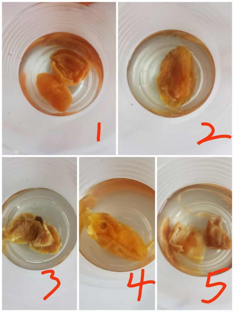 內媒在電商購入的5個枇杷乾樣品，只有2個真是枇杷。新京報