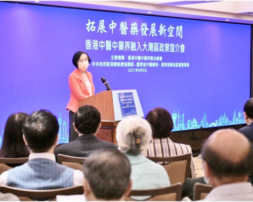 陳肇始在國家支持下,特區政府一直致力發展中醫藥。