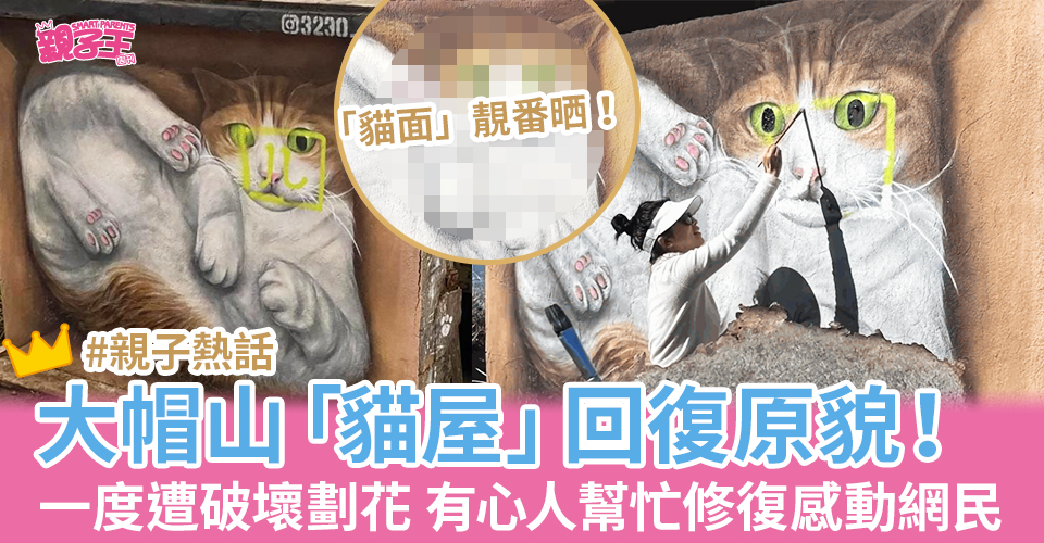 大帽山「貓屋」已回復原貌。（圖片來源：IG@Josh Artist Academy）
