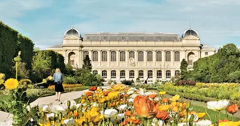 巴黎自然歷史博物館。