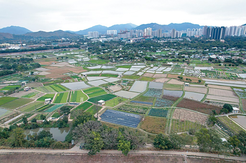 土拓署最新向城規會「一口氣」申請放寬古洞北及粉嶺北合共21幅住宅地高度限制。