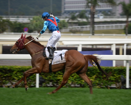 本港首匹四歲三冠王「佳龍駒」。資料圖片