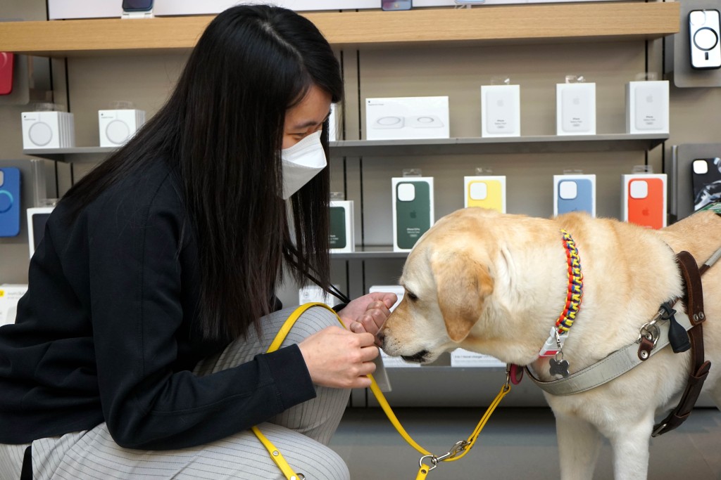 Joby與好拍檔導盲犬Yoyo一同在又一城Apple Store工作了四年。