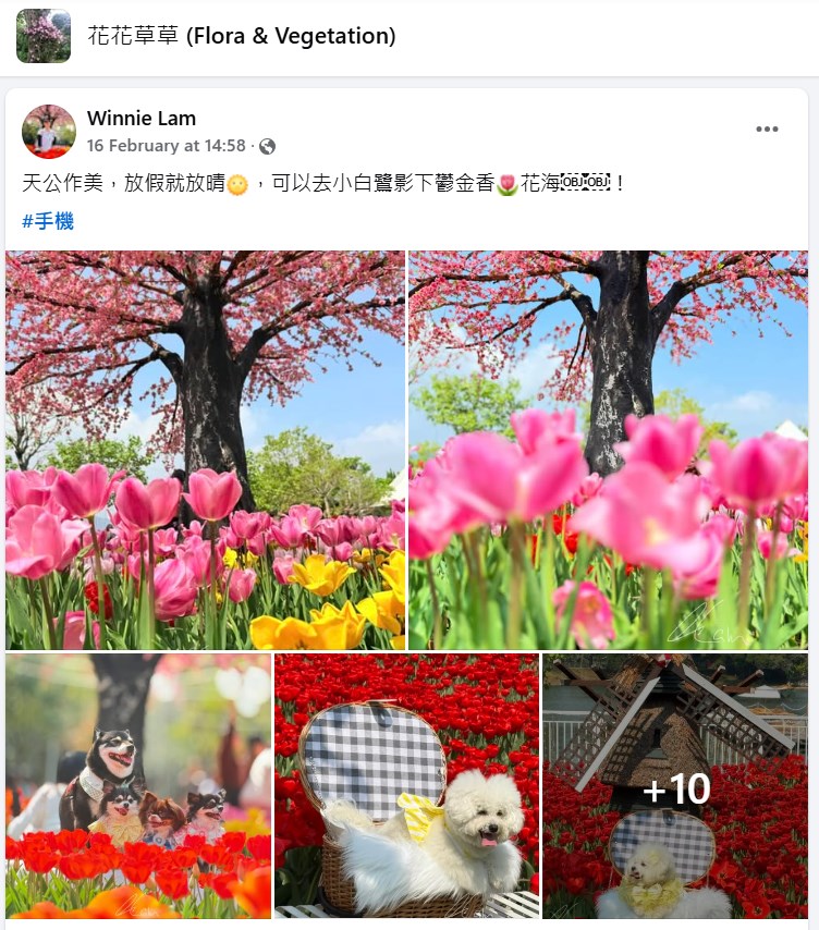 樓主帖文。fb「花花草草」截圖