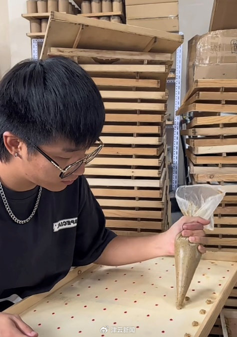 武新偉悉心繁殖蟈蟈及拍短片推廣,吸引不少鳴蟲玩家。津雲新聞 武新偉悉心繁殖蟈蟈及拍短片推廣,吸引不少鳴蟲玩家。津雲新聞