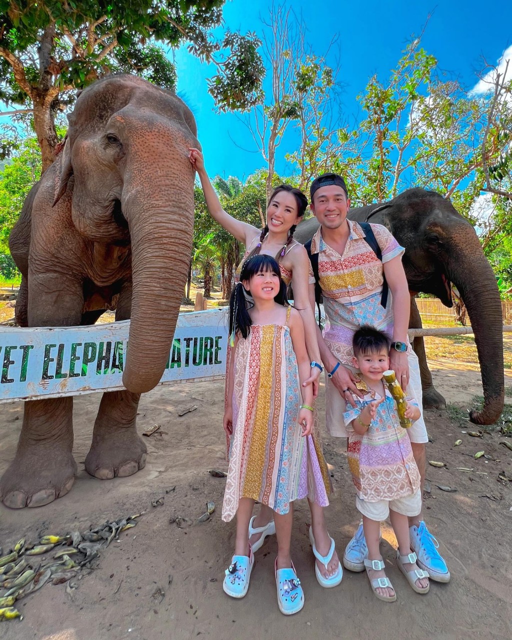 楊洛婷一家在泰國去了不少地方。