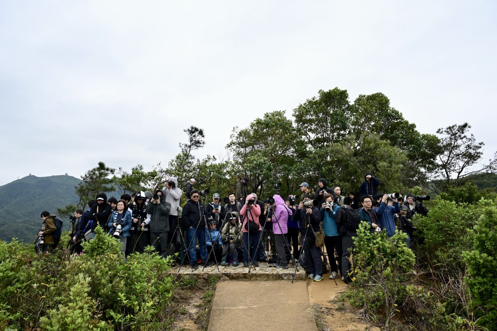大批市民於北角寶馬山等有利位置觀賞兼拍照。劉駿軒攝