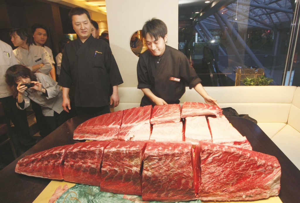 2008年1月郑威涛以43万港元，于筑地市场投得有“日本一”之称的蓝鳍吞拿鱼，成为香港第一人。