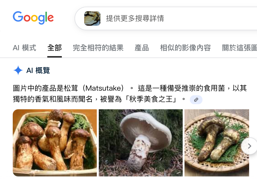 本報記者嘗試Google,不同角度的照片都被認成可食用的菇類。 本報記者嘗試Google,不同角度的照片都被認成可食用的菇類。