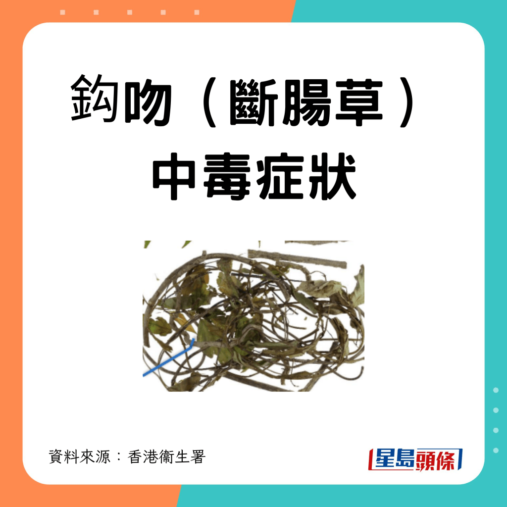 鈎吻（斷腸草）中毒症狀