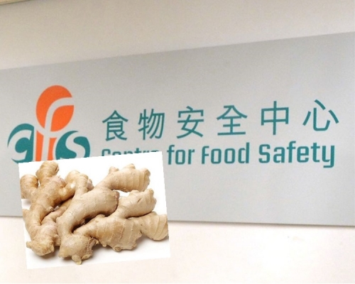 資料圖片/ 示意網圖