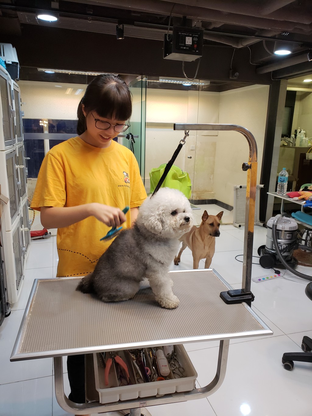 學生體驗寵物美容的工作。