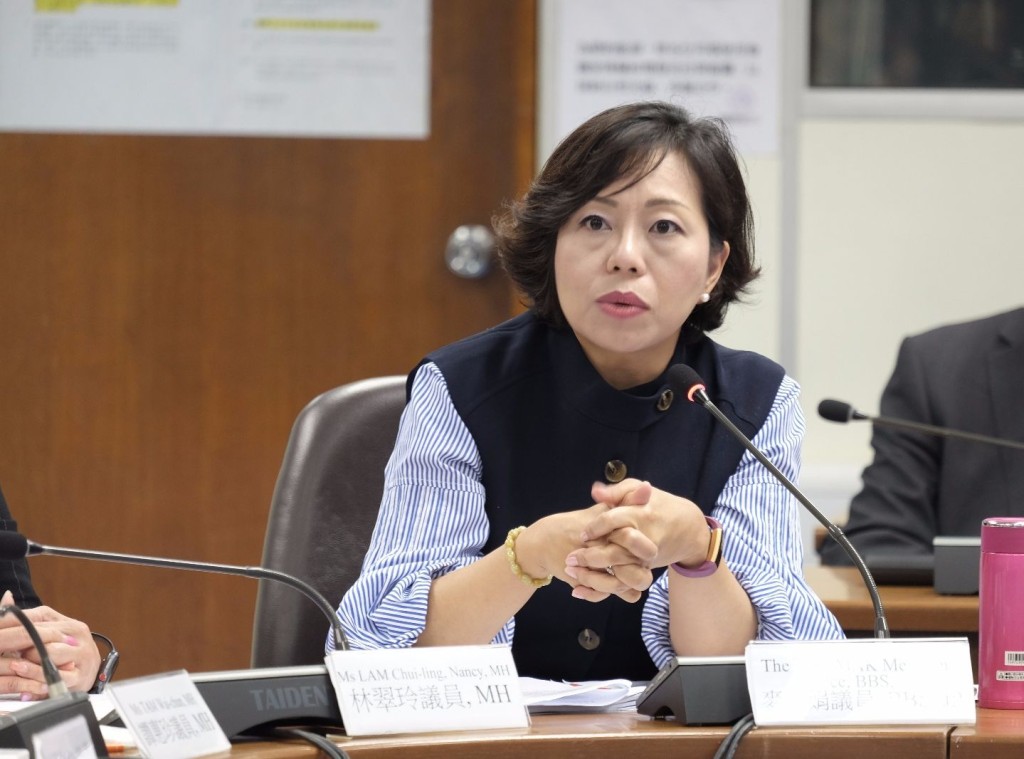 麥美娟陪同多名受影響的偉盈區居民請願。
