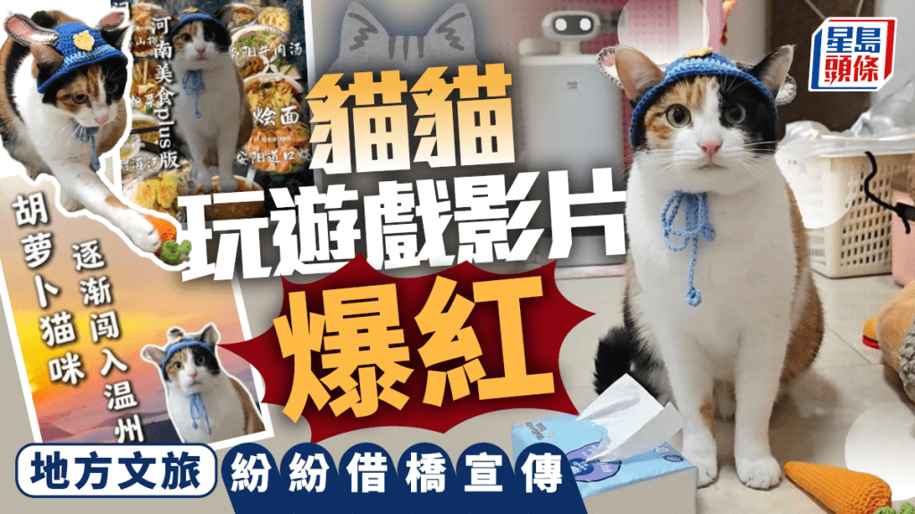 蘿蔔紙巾貓︱可愛三色貓遊戲片爆紅全網  地方文旅借橋宣傳︱有片