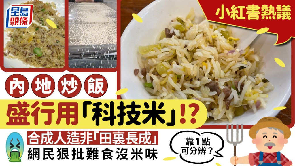 內地炒飯盛行用「科技米」？合成人造非「田裏長成」 網民狠批難食沒米味 靠1點可分辨？