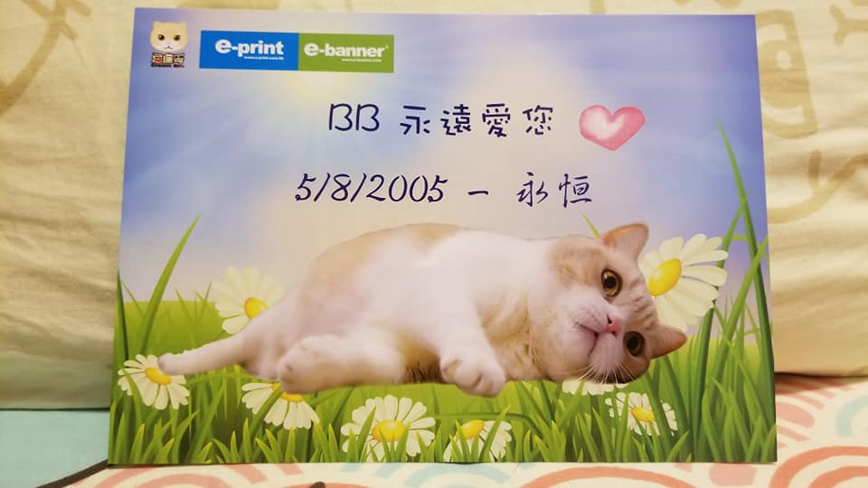 紀念postcard