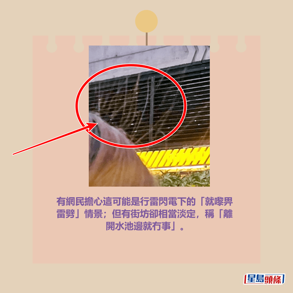 Threads截圖(資料來源:_.leehy._25.__@Threads) Threads截圖(資料來源:_.leehy._25.__@Threads)