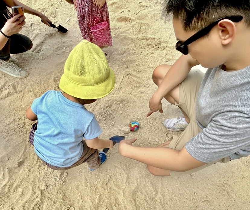 小小偵探會先挑戰任務收集線索,獲得 「掘蛋入場券」就可以衝去沙池掘蛋喇!(圖片來源:郊野共學) 小小偵探會先挑戰任務收集線索,獲得 「掘蛋入場券」就可以衝去沙池掘蛋喇!(圖片來源:郊野共學)